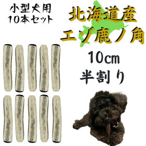 yӂ邳Ɣ[Łz̊p  10cm 10{ ̂ f^PA ^py1415937z
