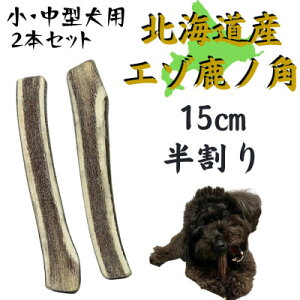 yӂ邳Ɣ[Łz̊p  15cm 2{ ̂ f^PA E^py1420483z