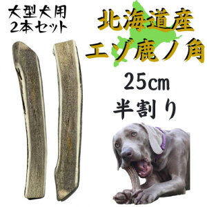 yӂ邳Ɣ[Łz̊p  25cm 2{ ̂ f^PA ^py1420490z