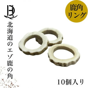yӂ邳Ɣ[Łz̊p O 10 kCY ANZT[ Ntgށy1421944z