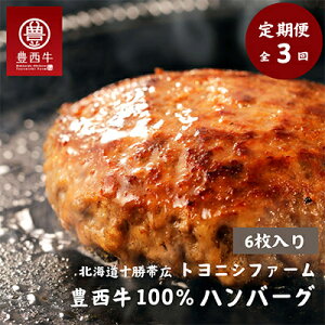 【ふるさと納税】【毎月定期便】豊西牛100%ハンバーグ 6枚セット全3回【配送不可地域:離島】【4011600】
