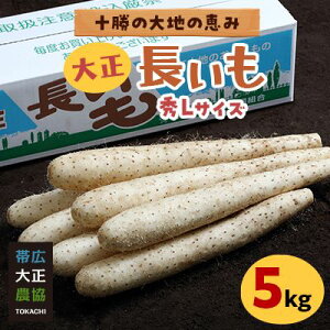 yӂ邳Ɣ[Łz吳5kgy1205760z