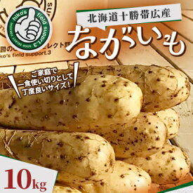 【ふるさと納税】北海道十勝帯広産 ながいも 10kg【配送不可地域：離島】【1497185】