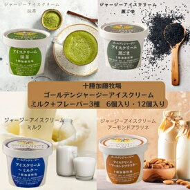 【ふるさと納税】ゴールデンジャージーアイスクリーム【ミルク+フレーバー3種セット】(6個入り、12個入り)【配送不可地域：離島】【G1516655】