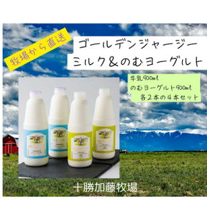 yӂ邳Ɣ[ŁzW[W[S[f~N&̂ރ[OgZbg (900ml×e2{)yzsnFzy1595654z
