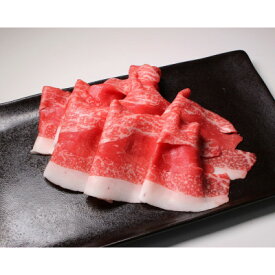 【ふるさと納税】600g 帯広牛切落しスライス【配送不可地域：離島】【1606347】