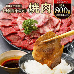 yӂ邳Ɣ[Łz\lGʋē(ʂ܂)800g(200g×4P)yYGzyzsnFzy1211792z