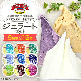 【ふるさと納税】ウエモンズハートおすすめ　ジェラートセット(9種類 全12個)【配送不可地域：離島】【1205880】
