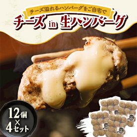 【ふるさと納税】チーズ in 生ハンバーグ 12個×4セット グルテンフリー【配送不可地域：離島】【1673729】