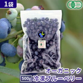 【ふるさと納税】有機JAS認証 冷凍ブルーベリー500g×1袋【北海道十勝産】【配送不可地域：離島】【1677071】