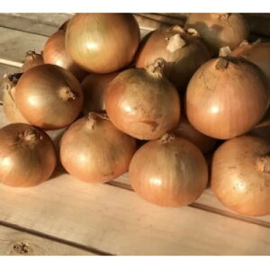 yӂ邳Ɣ[Łzy󂠂zkC \ эLY ʂ˂ 20kgyzsnFzy1677195z