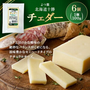 �y�ӂ邳�Ɣ[�Łz��t �k�C���\�� �`�F�_�[ 100g×6�y�z���s�n��F�����z�y1690055�z