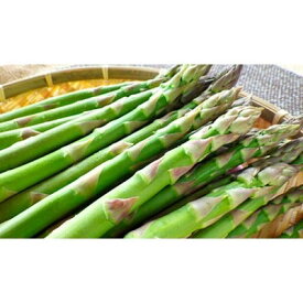 楽天市場 アスパラガス 種類 アスパラガス グリーンアスパラガス ホワイトアスパラガス 野菜 きのこ 食品 の通販