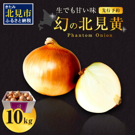 【ふるさと納税】【予約：2025年9月下旬から順次発送】幻の北見黄 北海道北見産 10kg ( ふるさと納税 玉ねぎ ふるさと納税 たまねぎ ふるさと納税 野菜 タマネギ Lサイズ 10キロ 詰合せ 先行予約 )