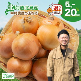 【ふるさと納税】【予約】【数量限定】生産量日本一位 北見産 玉ねぎ 中村農産 5kg 10kg 15kg 20kg ( ふるさと納税 玉ねぎ ふるさと納税 人気 たまねぎ 甘い オニオン 玉葱 選べる 北海道 北見市 )