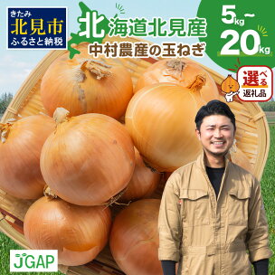 【予約】【数量限定】生産量日本一位 北見産 玉ねぎ 中村農...