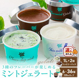【ふるさと納税】ミントジェラート カップ 6個〜36個 120ml 1L( ジェラート アイス アイスクリーム ハッカ チョコ ミント ミントアイス スイーツ ファミリーパック カカオ カップアイス )