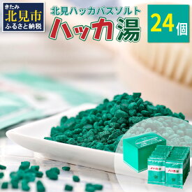 【ふるさと納税】ハッカ湯 24袋入り ( 薄荷湯 ハッカ 薄荷 はっか お風呂 入浴剤 バスソルト にごり湯 24袋 )