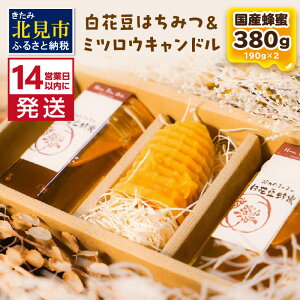 【ふるさと納税】《14営業日以内に発送》【国産蜂蜜】白花豆はちみつ 190g×2個 と ミツロウキャンドル 1個
