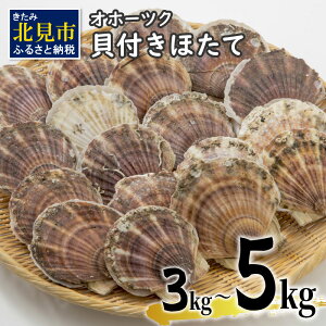 yӂ邳Ɣ[ŁzIz[cNLtق 3kg 5kg (15`50)( CN   L L z^e ق  kt L  Mtg 蕨  j BBQ o[xL[ )