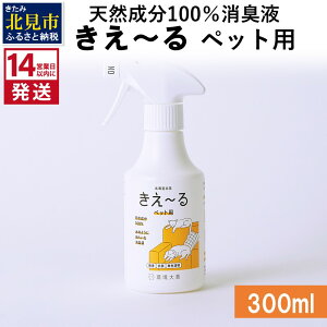 yӂ邳Ɣ[Łzs14cƓȓɔtVR100Lt ` ybgp 300ml ( L VR ybg )
