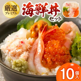 【ふるさと納税】【お中元】厳選！プレミアム海鮮丼セット10個入