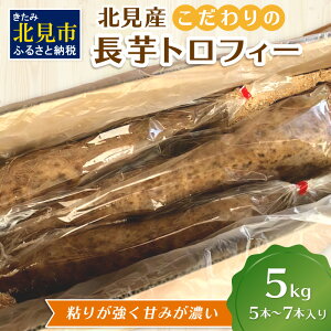 yӂ邳Ɣ[Łzy\F2025N11{珇zkY ̒gtB[ 5kg (  Ȃ  ʌ Ԍ 5L )