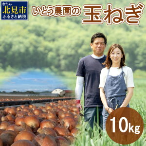 yӂ邳Ɣ[ŁzƂ_̋ʂ˂ 10kg ( ʔK ^}lM  Ԍ ʌ 10L )
