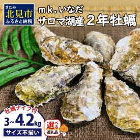 【ふるさと納税】【予約：2025年10月下旬から順次発送】サロマ湖産 殻付き2年牡蠣 3kg 4.2kg サイズ不揃い ※牡蠣ナイフ付( カキ かき 3キロ 4.2キロ 魚介 海鮮 貝 ふるさと納税 BBQ バーベキュー )
