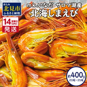 【ふるさと納税】《14営業日以内に発送》サロマ湖産 北海しまえび 約400g 20尾〜35尾 ( 海鮮 魚介 えび エビ 海老 しまえび )