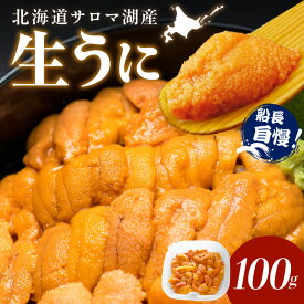【ふるさと納税】【予約：2026年4月中旬から順次発送】サロマ湖産 生うに ( 海鮮 雲丹 うに ウニ 塩水 生ウニ 生うに ウニ丼 エゾバフンウニ ムキ身 高級 1パック 期間限定 )