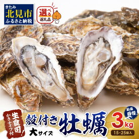 【ふるさと納税】【予約：2025年10月下旬から順次発送】サロマ湖自慢の殻付きカキ貝 大 3kg詰め ( 牡蠣 かき 濃厚 大きい 魚介類 貝類 殻付 殻付き牡蠣 BBQ バーベキュー )