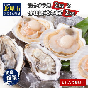 yӂ邳Ɣ[Łzy\F2025N10{珇zkC z^e y Zbg 4kg