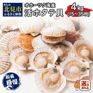 yӂ邳Ɣ[ŁzƂꂽĐVNIIz[cNCY z^eL 4kg 15`35 (  CN L  ق z^e 4L J[ V`[  )