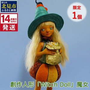 yӂ邳Ɣ[Łzy1zs14cƓȓɔtnl`uWitch Dollv