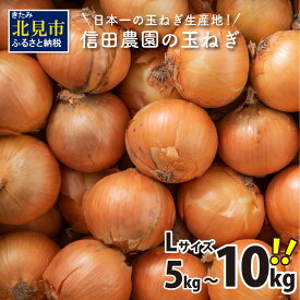 【ふるさと納税】【予約】【選べる発送月】日本一 生産量 玉ねぎ 信田農園 5kg 10kg Lサイズ