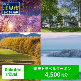 【ふるさと納税】北海道北見市の対象施設で使える楽天トラベルクーポン 寄附額15,000円 旅行 クーポン チケット ふるさと納税 楽天トラベル