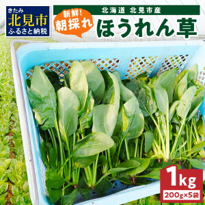 yӂ邳Ɣ[Łzy\F2026N6{珇zkCkY ̂ ق 1kg 200g×5 ( VN ̂ꂽ zE\E ق񂻂 nEX͔| )