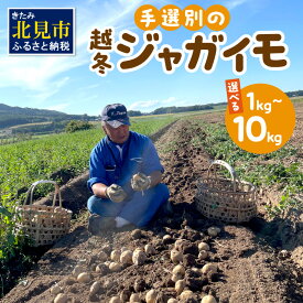 【ふるさと納税】【予約：2026年2月上旬から順次発送】【選べる3サイズ】宇野さんの手拾い、手選別の越冬ジャガイモ 1～10kg ( 芋 野菜 選べる 1kg 2kg 5kg 10kg )