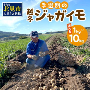 yӂ邳Ɣ[Łzy\F2026N2{珇zyIׂ3TCYzF삳̎EAIʂ̉z~WKC 1`10kg (   Iׂ 1kg 2kg 5kg 10kg )