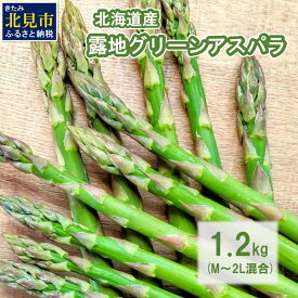 【ふるさと納税】【予約】【朝採れ直送！】ほんのり甘い春の味覚！北海道の露地グリーンアスパラ 1.2kg M～2L混合サイズ ( アスパラガス グリーン 北海道 オホーツク 甘い 旬 サラダ 肉巻き)