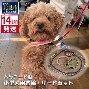 【ふるさと納税】《14営業日以内に発送》小型犬用首輪 2個 リード 2本 4点セット