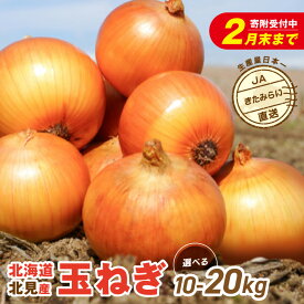 【ふるさと納税】＼2/28で受付終了！／JAきたみらい産 玉ねぎ Lサイズ 10kg 20kg