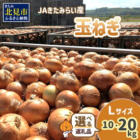 【ふるさと納税】＜レビューキャンペーン対象＞【予約】JAきたみらい産 玉ねぎ Lサイズ 10kg 20kg