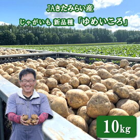 【ふるさと納税】【予約】JAきたみらい産 じゃがいも 新品種「ゆめいころ」 10kg ( ふるさと納税 じゃがいも いも 芋 JA 北海道産 秋 旬 )