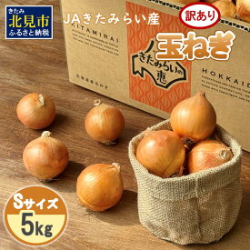 【ふるさと納税】★12月配送可能★【訳あり】JAきたみらい産 玉ねぎ Sサイズ 5kg