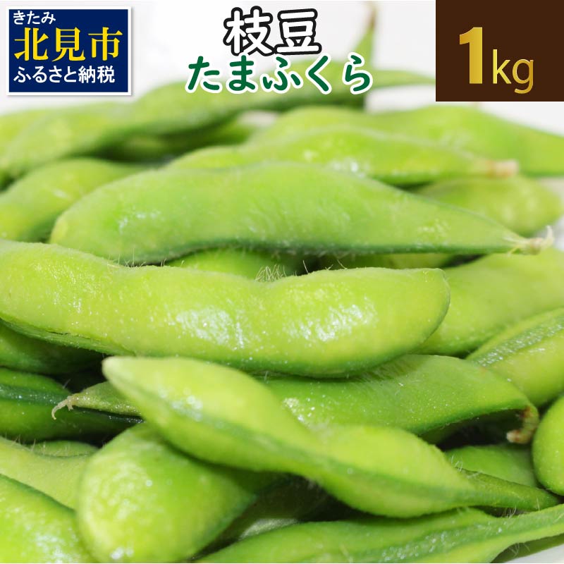 野菜 やさい 豆 枝豆 1キロ  採れたて！新鮮な北海道北見市産 枝豆 たまふくら 1kg