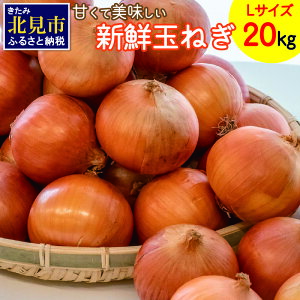 kg L 22年10月中旬より順次発送 北海道北見市 ふるさと納税 日本農業賞大賞受賞 Jaきたみらいから直送する甘くて美味しい新鮮玉ねぎ たまねぎ ついに再販開始 Ipadventure In