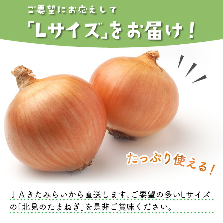 楽天市場】【ふるさと納税】＼12/1まで！／【選べる回数（隔月）】JA 