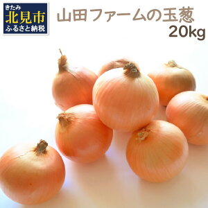 yӂ邳Ɣ[Łzy\F2025N10{珇zRct@[̋ʔK 20kg LTCYȏ (  ₳ ʂ˂ ^}lM 20L )